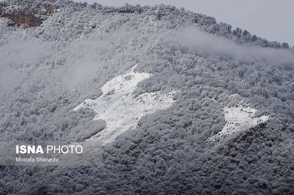 طبیعت برفی منطقه دودانگه استان مازندران