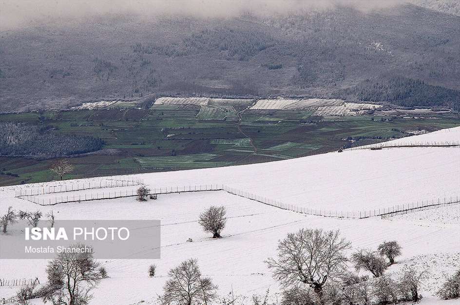 طبیعت برفی منطقه دودانگه استان مازندران
