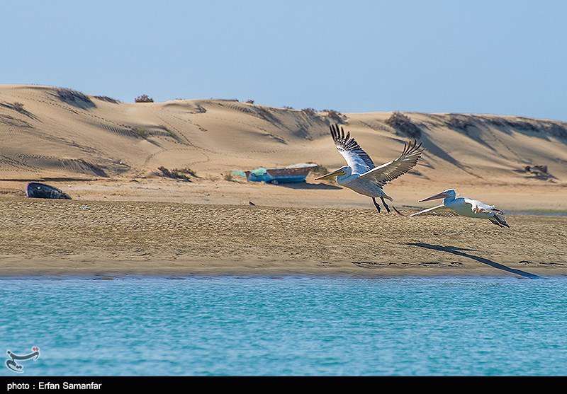 بندر تنگ سیستان و بلوچستان 