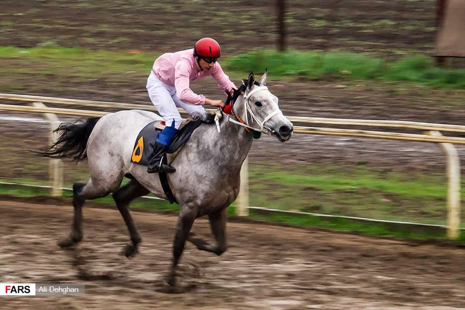 کورس اسبدوانی پاییزه گنبدکاووس