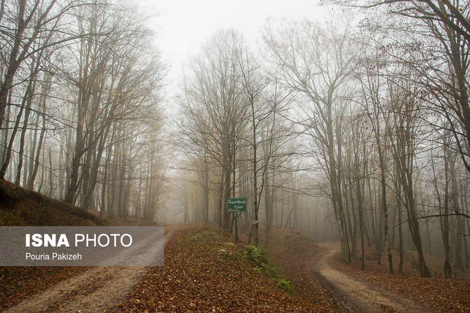 ایران زیباست؛ طبیعت پاییزی «شیرگاه» 