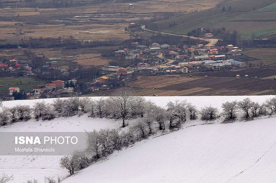 طبیعت برفی منطقه دودانگه استان مازندران