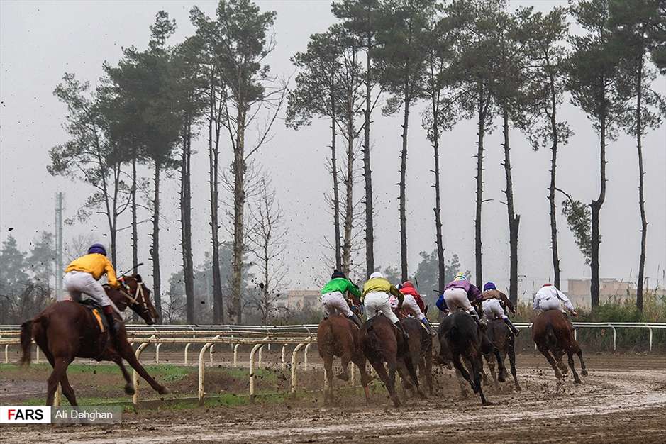 کورس اسبدوانی پاییزه گنبدکاووس