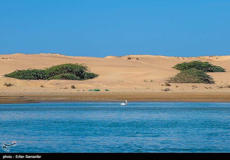 بندر تنگ سیستان و بلوچستان 