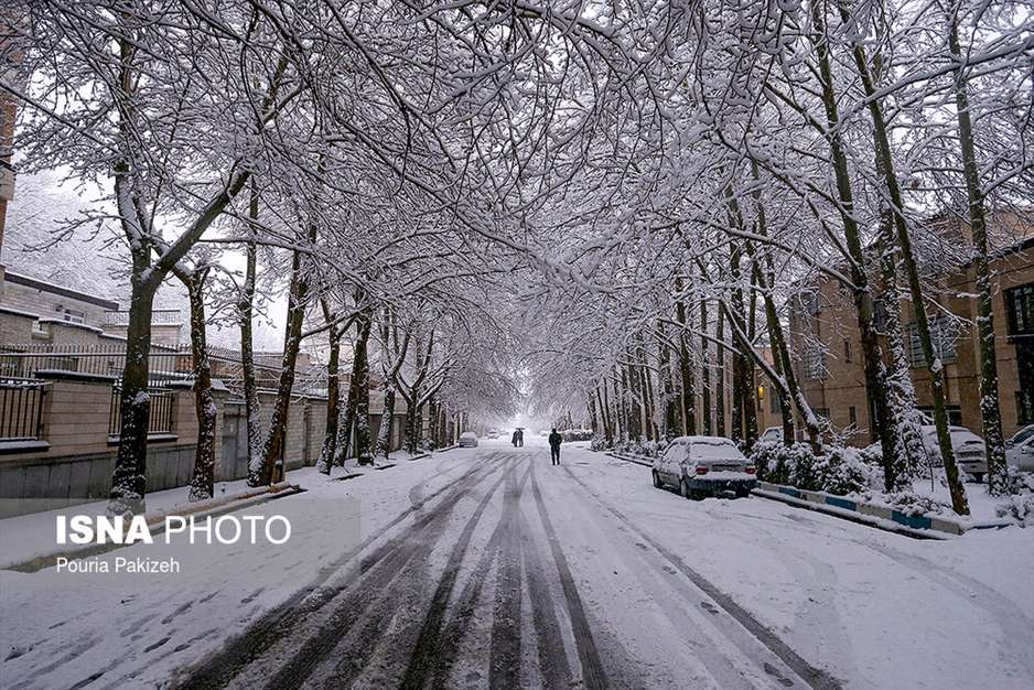 بارش برف در آخرین روزهای پاییز