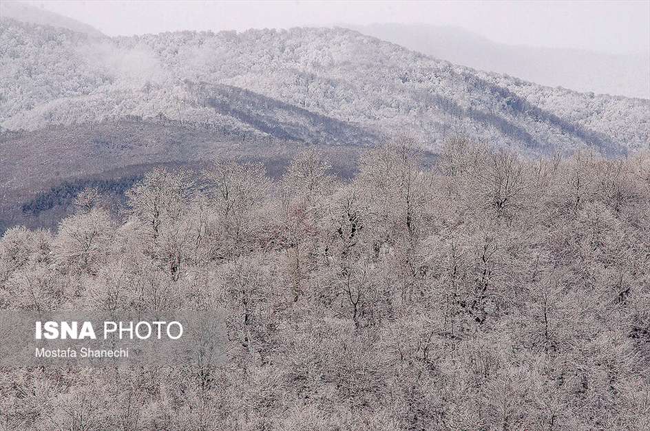 طبیعت برفی منطقه دودانگه استان مازندران