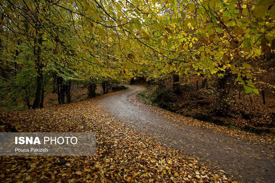 ایران زیباست؛ طبیعت پاییزی «شیرگاه» 