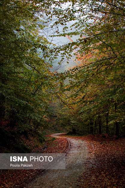 ایران زیباست؛ طبیعت پاییزی «شیرگاه» 