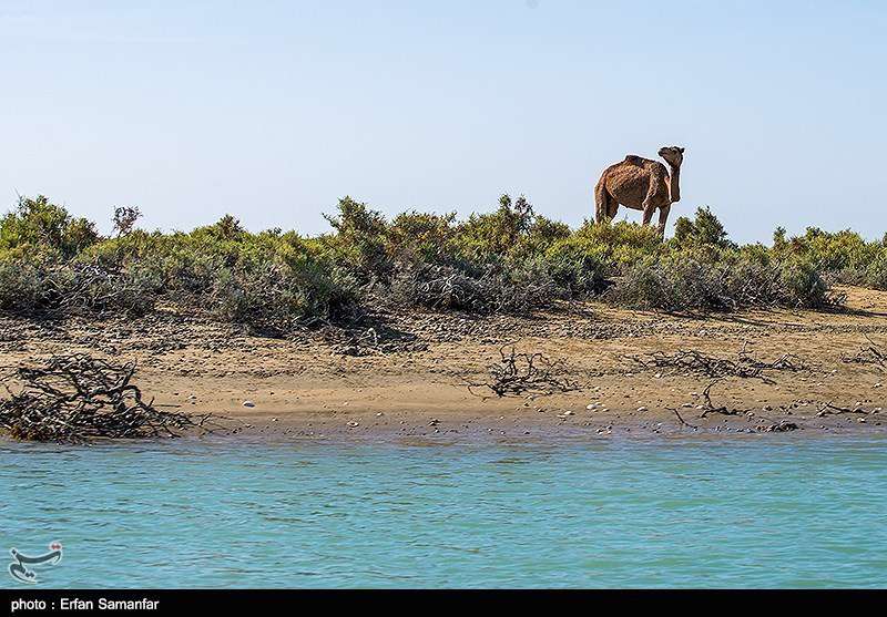 بندر تنگ سیستان و بلوچستان 