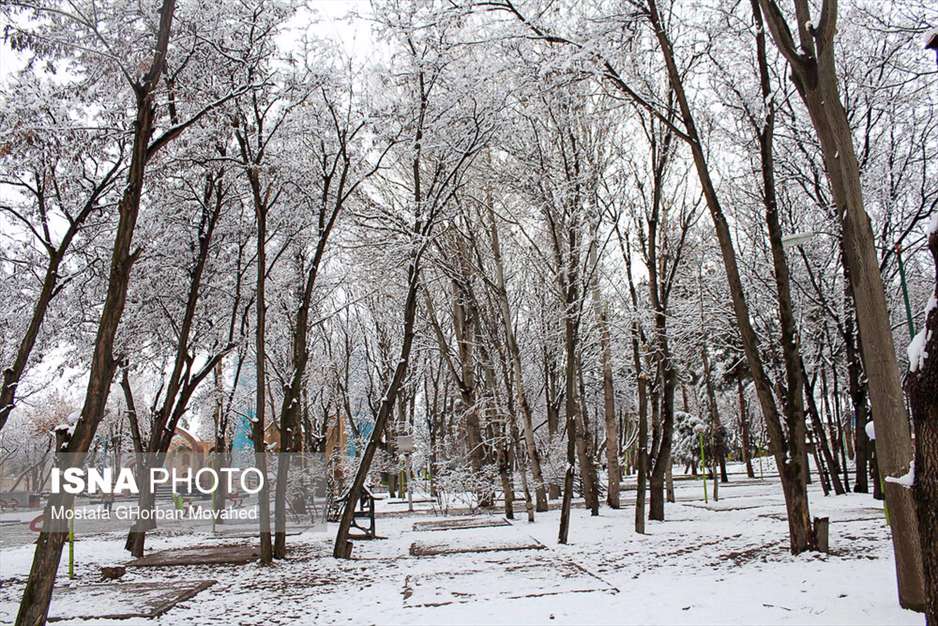 بارش برف در آخرین روزهای پاییز