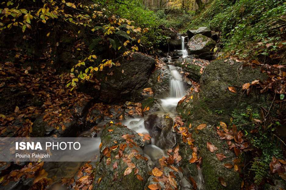 ایران زیباست؛ طبیعت پاییزی «شیرگاه» 