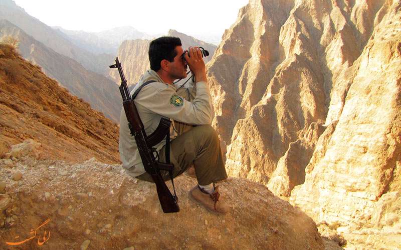 محیط بان
