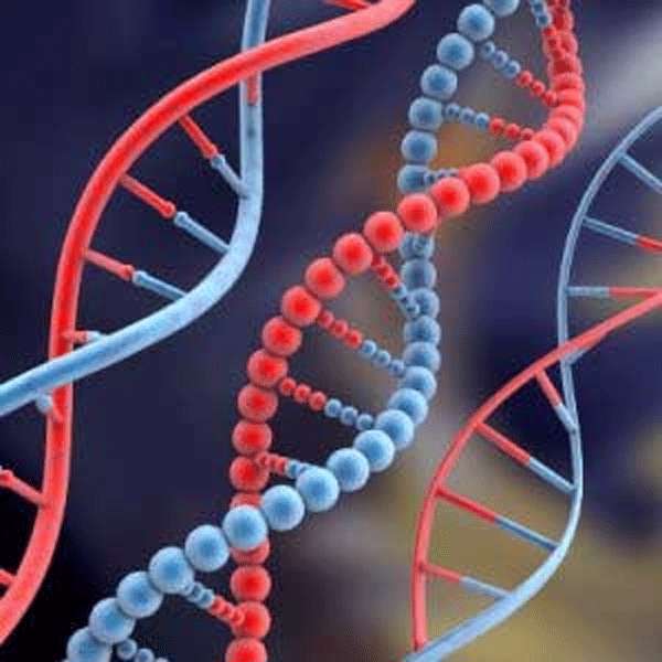 dna مصنوعی هم ساخته شد
