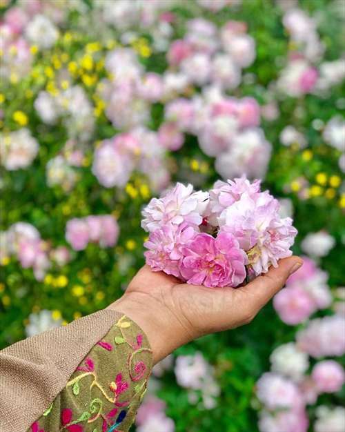 یاد من باشد....