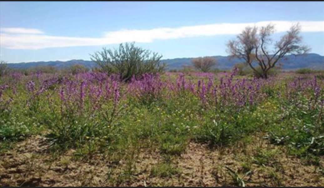 «دره هندوستان