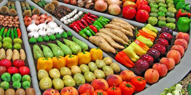 تاثیر خوردنیهای گیاهی بر سلامت تاثیر خوردنیهای گیاهی بر سلامت