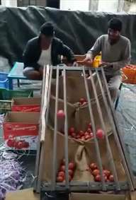 سیستم دسته‌بندی بر اساس اندازه، ساده و موثر و کاربردی