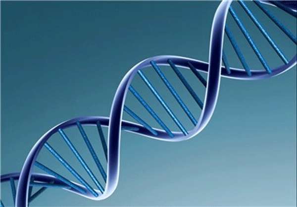 یک آمار شگفتانگیز درباره DNA یک آمار شگفتانگیز درباره DNA