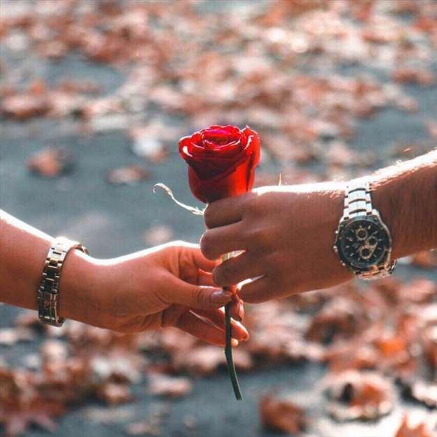 با تو میمانم از آغاز هر صبح