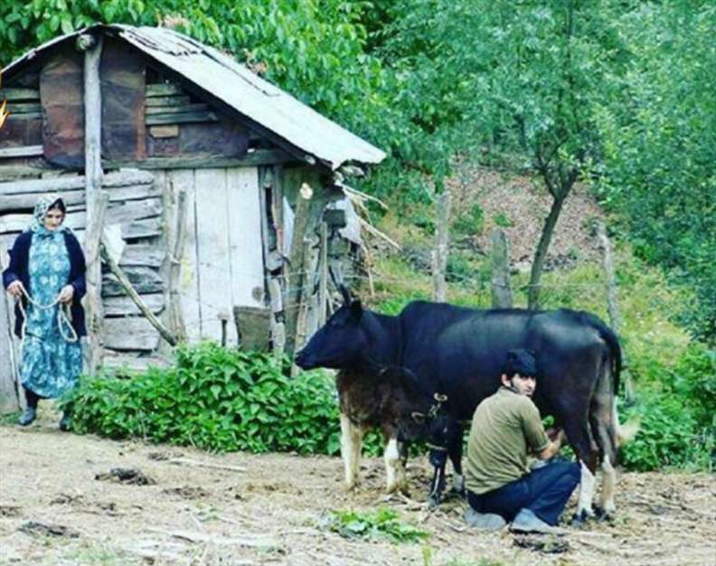 باید غبطه خورد...