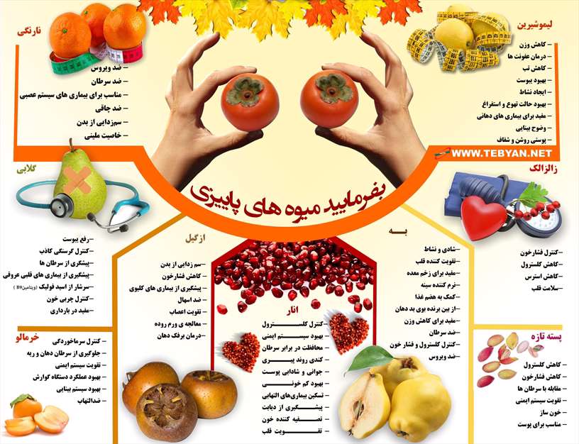 اینفوگرافیک میوه های پاییزی 