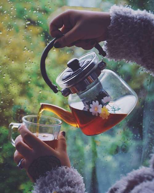 تو را نفس میکشم