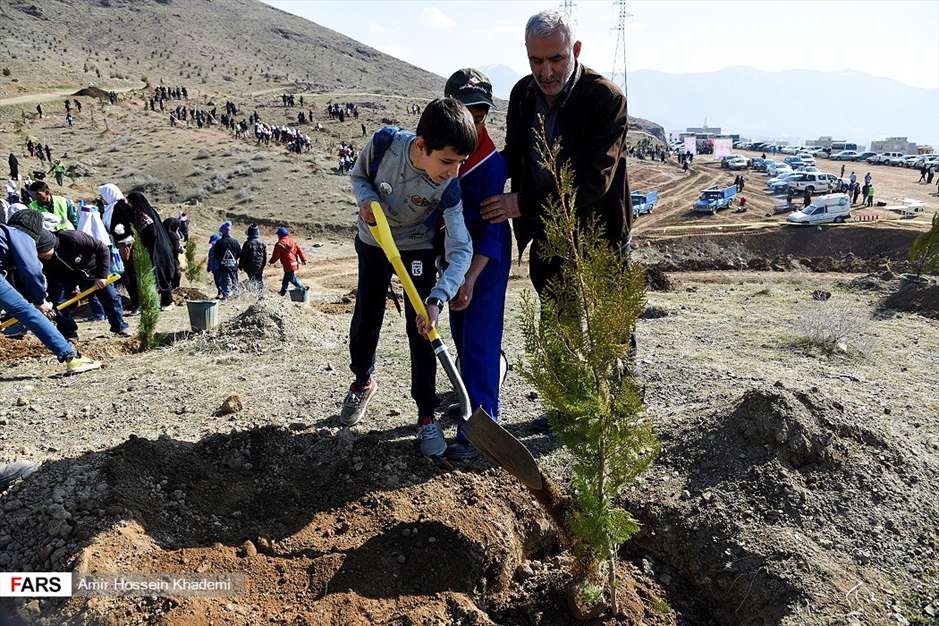 آئین روز درختکاری در البرز