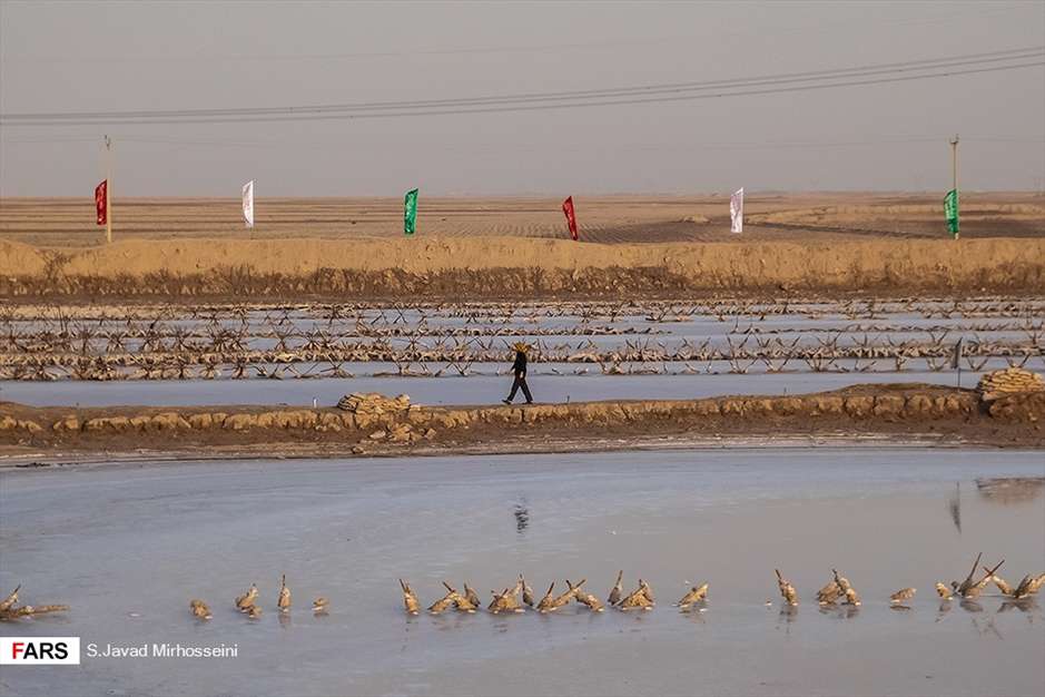۲۰ اسفند؛ روز راهیان نور
