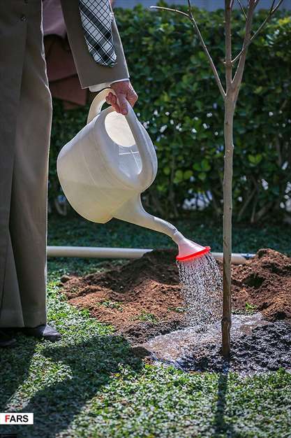 کاشت نهال توسط رهبر معظم انقلاب اسلامی