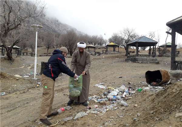 درختکاری