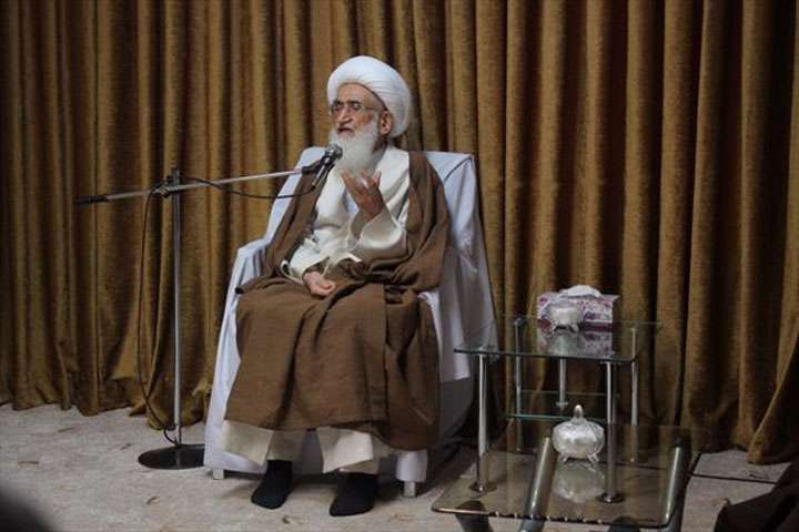 جمعی از هنرمندان بسیجی با آیت الله العظمی نوری همدانی دیدار کردند