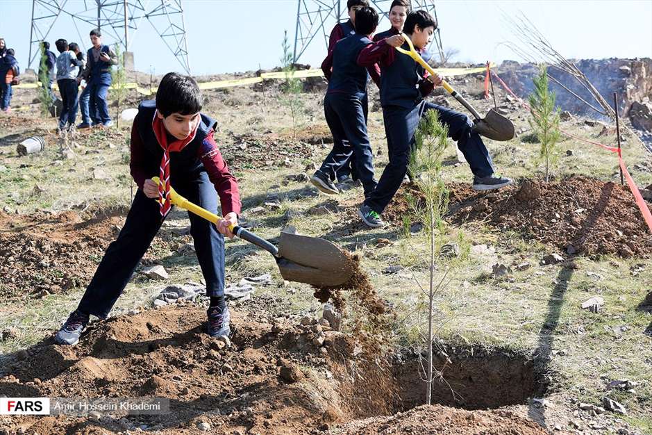 آئین روز درختکاری در البرز