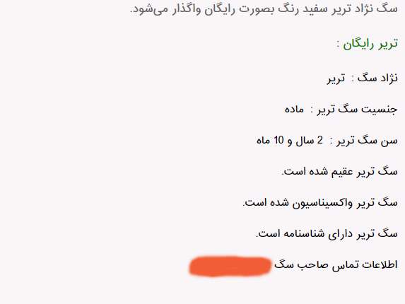 سگ خانگی