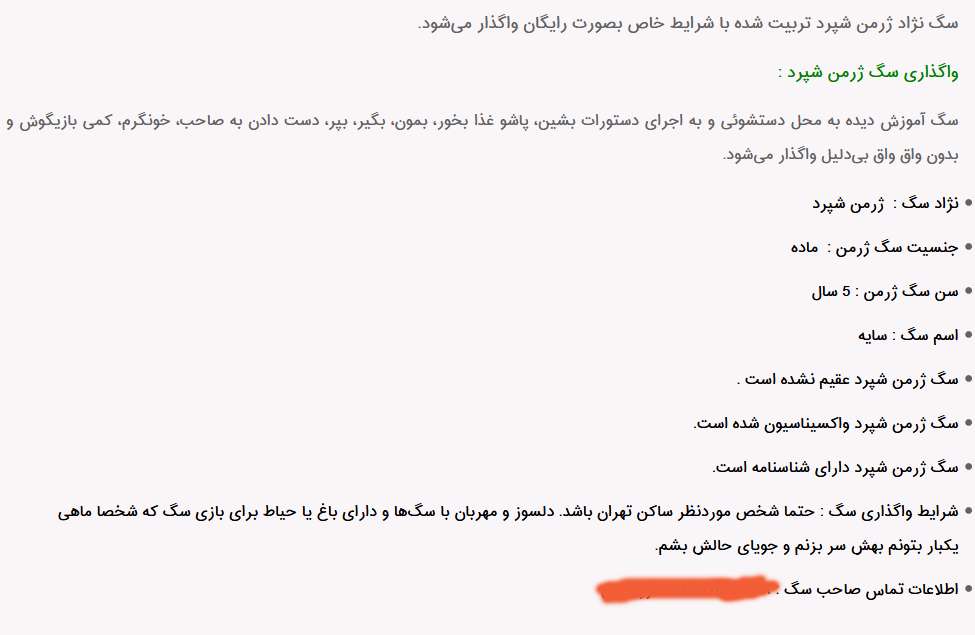 سگ خانگی