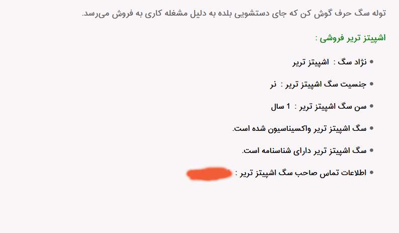 سگ خانگی