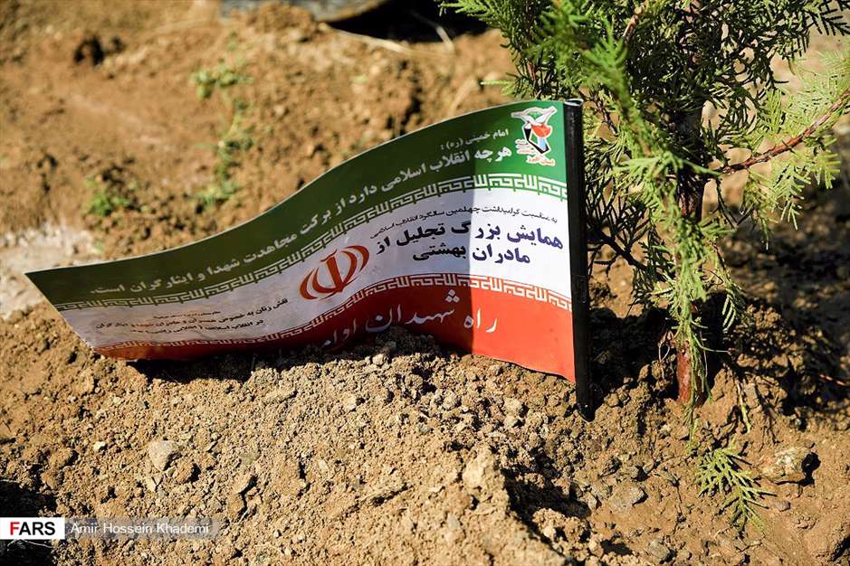 آئین روز درختکاری در البرز