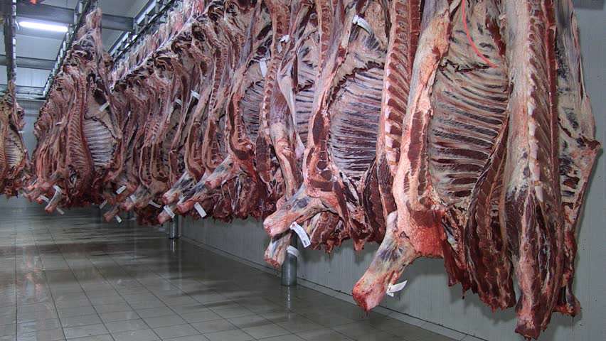 ماجرای گوشتهای دپو شده بی صاحب ماجرای گوشتهای دپو شده بی صاحب