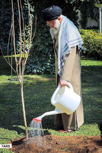 کاشت نهال توسط رهبر معظم انقلاب اسلامی