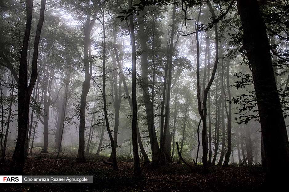 مازندران؛ استان چشم نواز شمال ایران