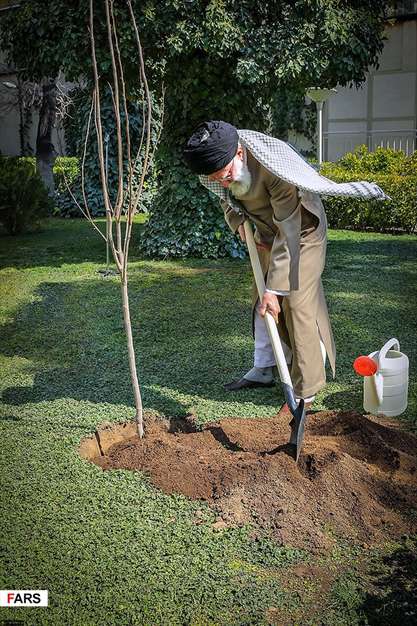 کاشت نهال توسط رهبر معظم انقلاب اسلامی