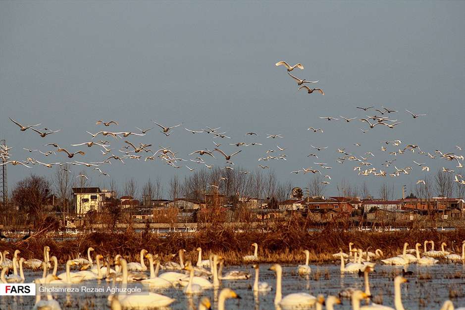 باغ موزه دفاع مقدس