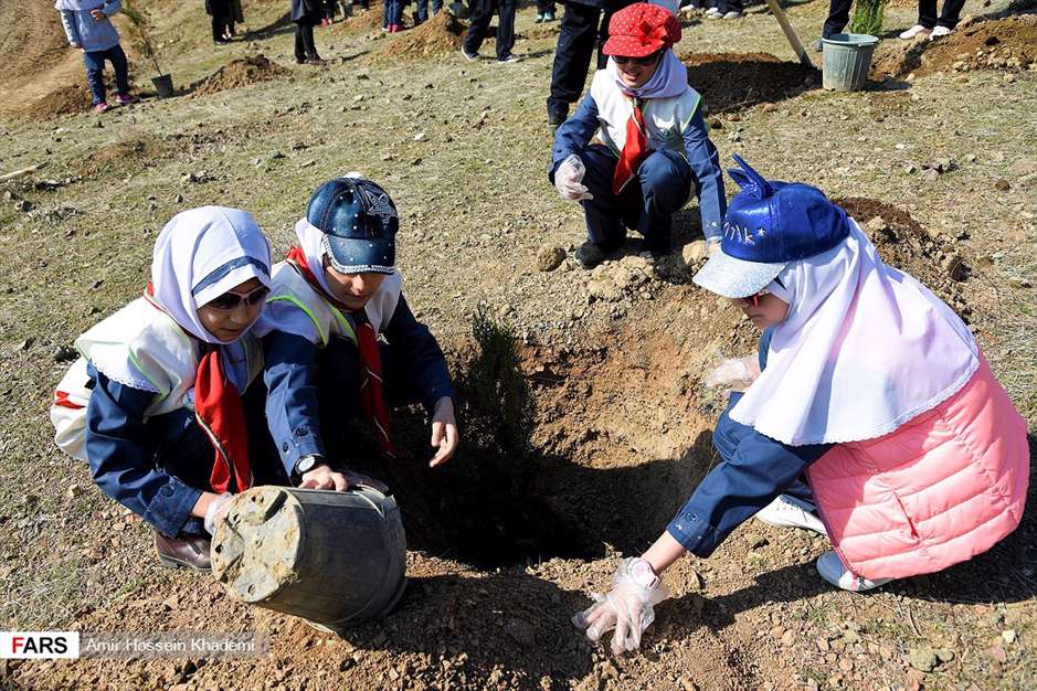 آئین روز درختکاری در البرز