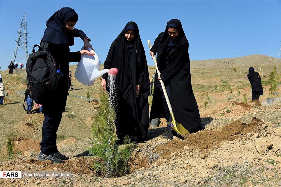 آئین روز درختکاری در البرز