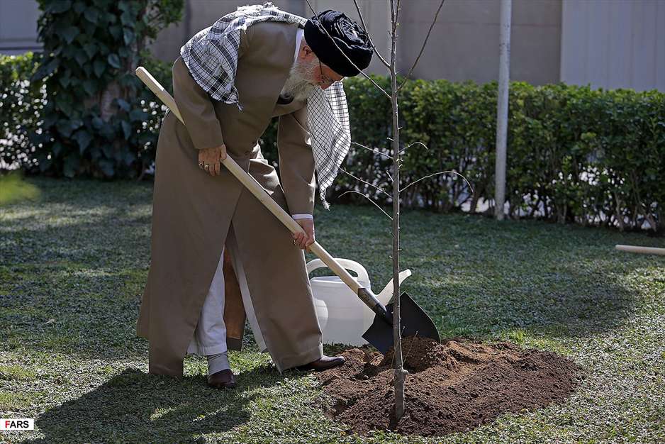 کاشت نهال توسط رهبر معظم انقلاب اسلامی