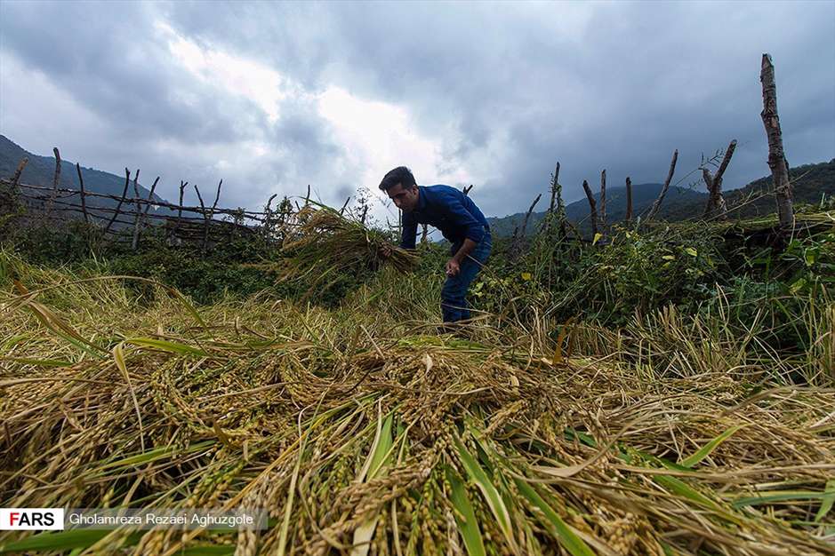 مازندران؛ استان چشم نواز شمال ایران