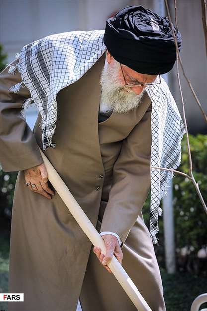 کاشت نهال توسط رهبر معظم انقلاب اسلامی