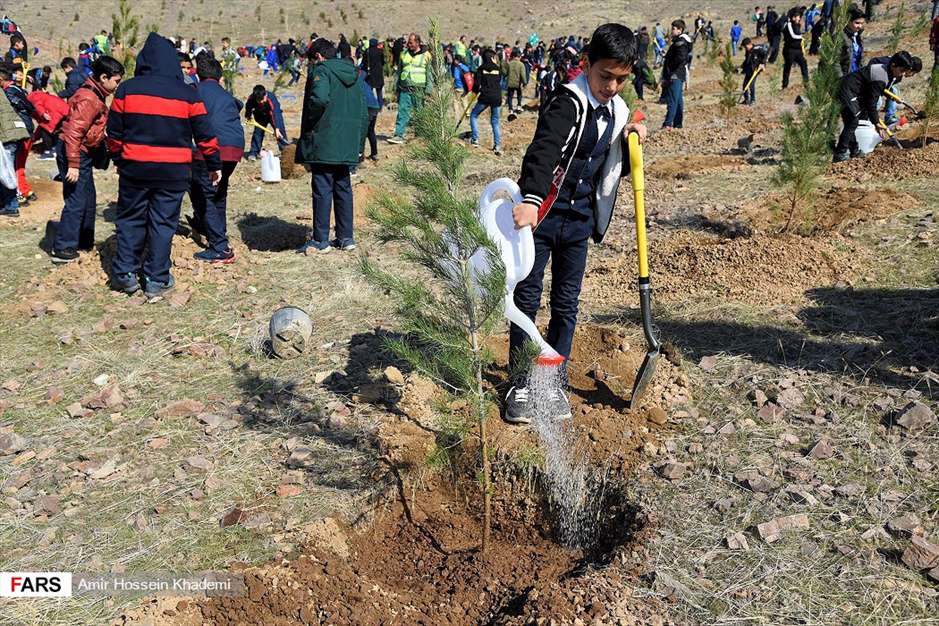 آئین روز درختکاری در البرز