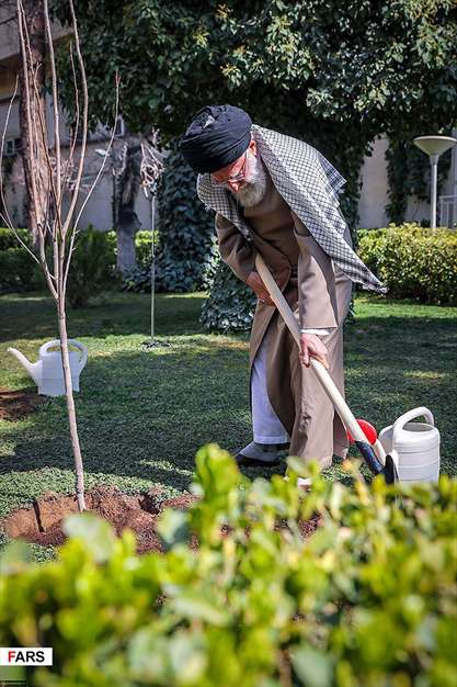 کاشت نهال توسط رهبر معظم انقلاب اسلامی