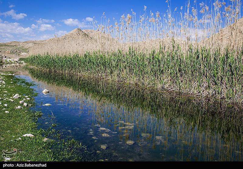 تالاب های پلدختر - لرستان