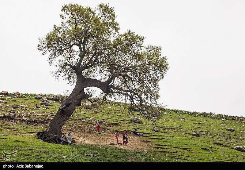  خسارات سیل در روستای شاهیوند- پلدختر
